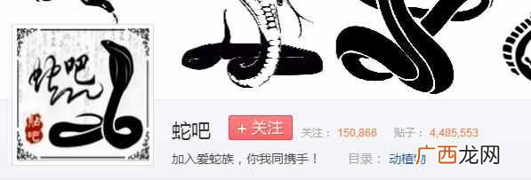 百度为什么叫度娘不叫度爷度爸(百度申请“度