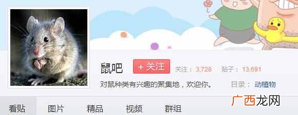 百度为什么叫度娘不叫度爷度爸(百度申请“度