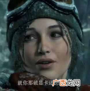 什么显卡性价比高又好用（小白最好选择这个显