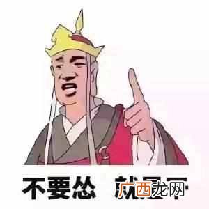 网上说的老司机什么意思（流行的网络热词你都