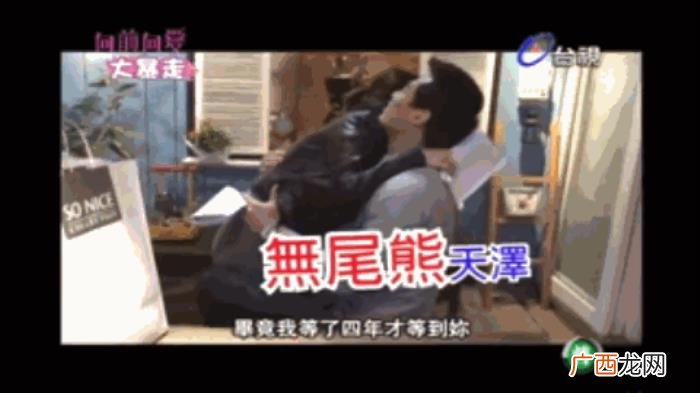 杨佑宁女朋友，38岁杨佑宁升级当爸