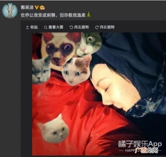 杨佑宁女朋友，38岁杨佑宁升级当爸