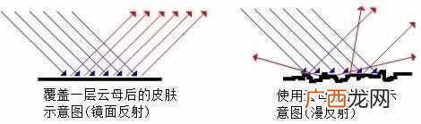 不同种类云母的应用领域 中药云母有什么用