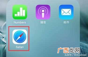 手机用什么浏览器稳定速度快（聊聊5款手机浏览