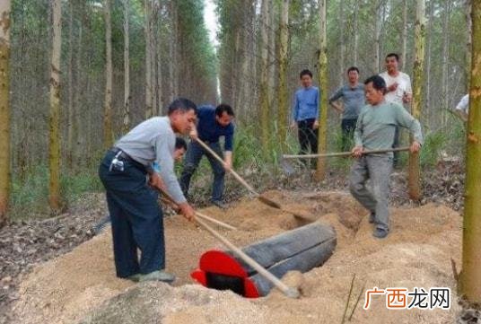 下葬时窜出条蛇，吃掉以后发生怪事，一位半百老人出面才安然无恙