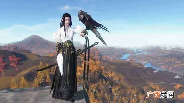 电脑上有什么不花钱又好玩的网游(国战老鸟强