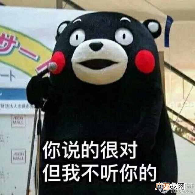 手机处理器是什么东西（CPU处理器数量越多越好