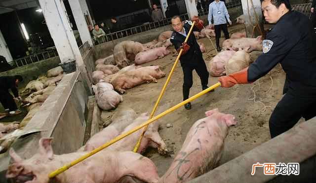 瘦肉精是什么对人体有哪些危害（4个小办法教你