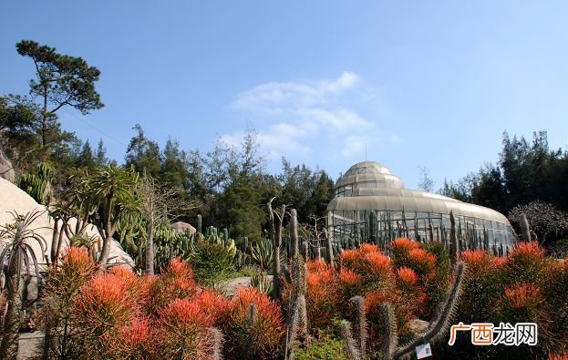 附游玩攻略 厦门市园林植物园年卡多少钱？