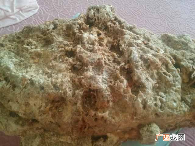 龙涎香是什么香味的东西（一小块几十万的龙涎