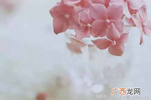一个女人真正的幸福是什么（婚前明白这4个道理