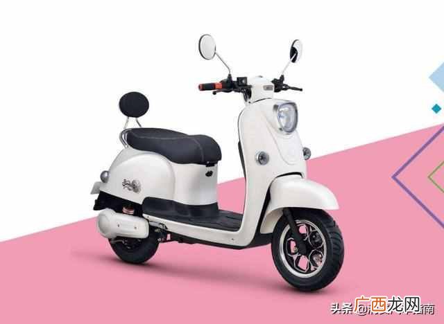 国产成人电瓶车什么牌子好(选电动车如何看电