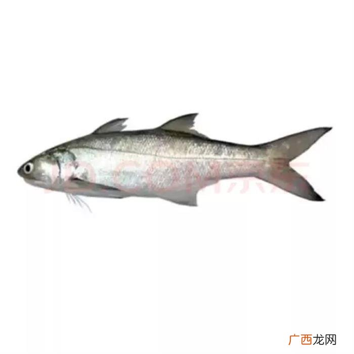 一夜倩找附近的女人,有谁想尝试湛江的一夜情