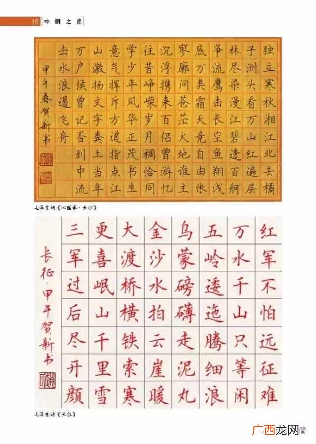 最适合初学者的8种笔 练字用什么笔尖最好
