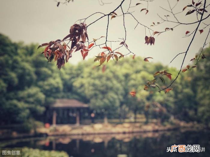 异地恋男友生病安慰语，62句写给异地恋的他的话