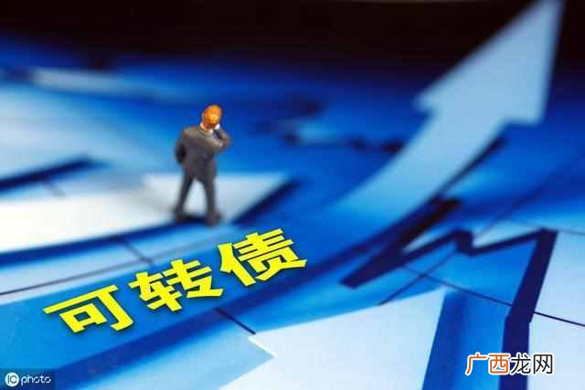 什么是可转债债券基金（掰开了揉碎了给你讲可