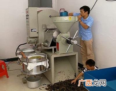 农村自榨油作坊挣钱吗 农村挣钱项目榨油