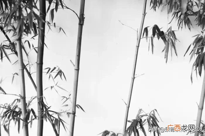 诗词｜史上最狠的十首讽刺诗 讽刺人的话