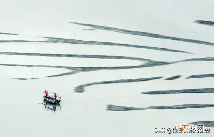 诗词｜史上最狠的十首讽刺诗 讽刺人的话