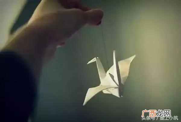 人与人之间的信任是什么（夫妻之间信任的基础