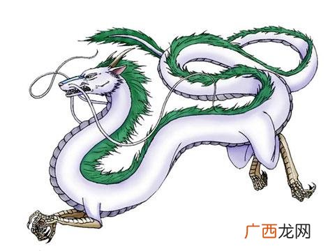 属龙几日出生财运好,2021年属龙的适合做什么行业