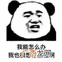 想钱想疯了搞笑图片 我想用钱