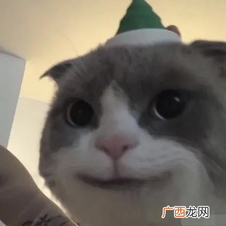 挣钱软件哪个最靠谱,挣钱软件