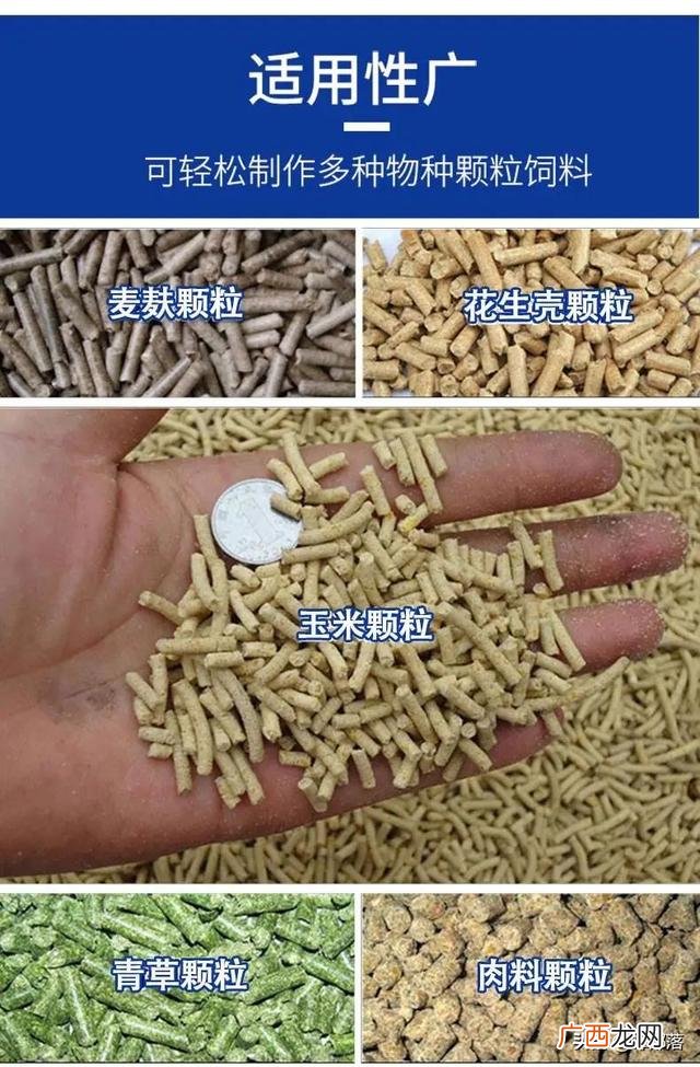 乡镇万元生意致富项目 农村商机好项目