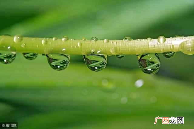 为什么会下雨幼儿简单回答（宝宝最好玩的回答