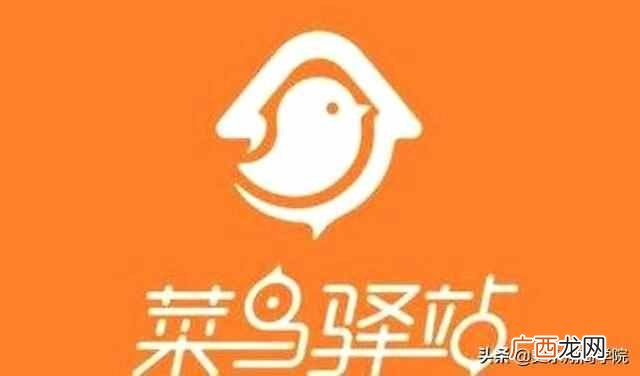 现代莱鸟驿站是什么意思（不赚钱、效率低，菜