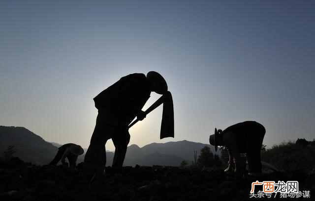 农村土地流转是什么意思（土地流转真正受益的