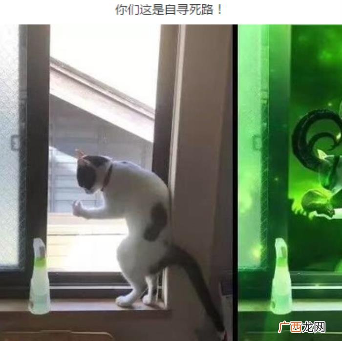 30张搞笑图片大合集 qq搞笑图片大全