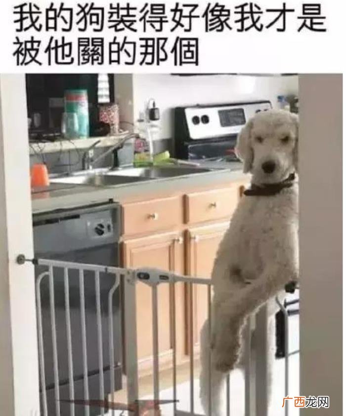 30张搞笑图片大合集 qq搞笑图片大全