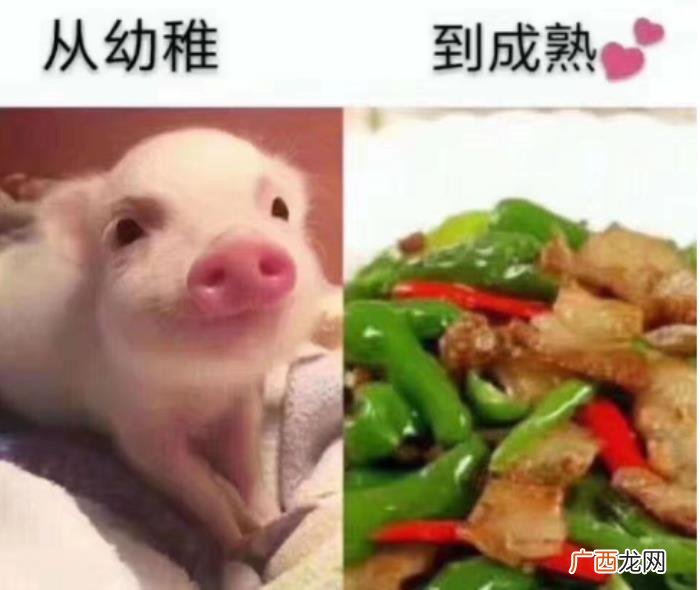 30张搞笑图片大合集 qq搞笑图片大全