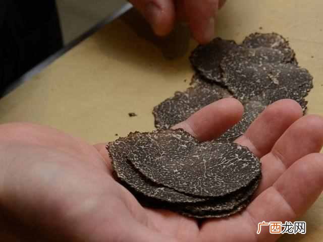 松露是什么东西怎么形成的（松露的功效与作用