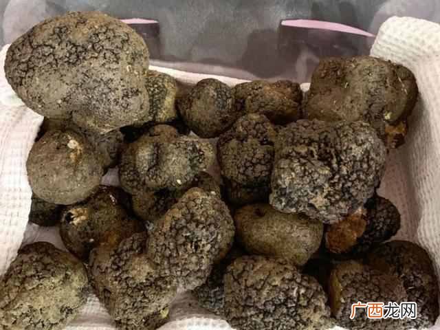 松露是什么东西怎么形成的（松露的功效与作用