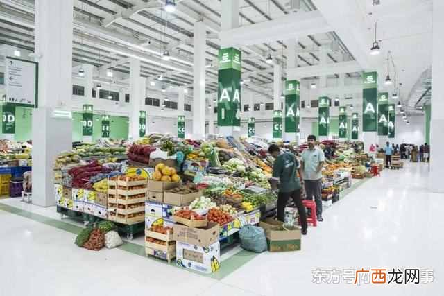 迪拜是哪个国家为什么那么有钱（一起来看看迪