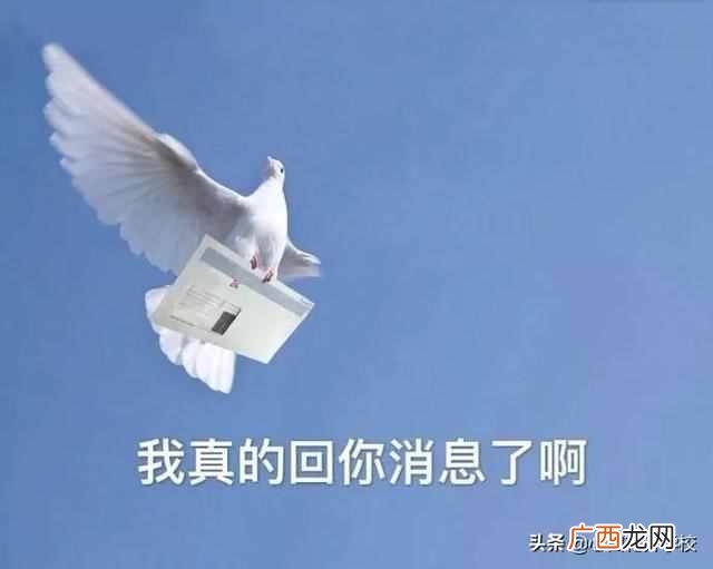 俗话说放鸽子是什么意思（为什么被爽约被叫“