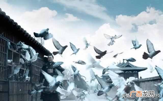 俗话说放鸽子是什么意思（为什么被爽约被叫“