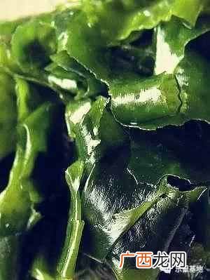 12种昆布的食用方法 日本昆布是什么东西