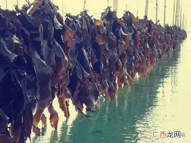 12种昆布的食用方法 日本昆布是什么东西