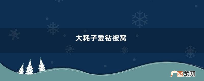 大耗子爱钻被窝，老太一顿打一顿肉地养着它，儿子知道真相