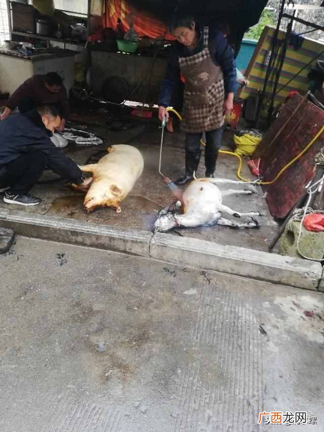 普通人没技术做什么一年能赚20万（做到这9点，