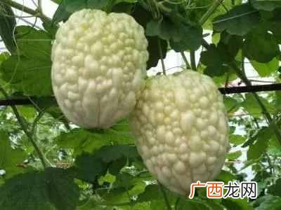 2019大田种什么农作物赚钱（农民收入涨十倍，就