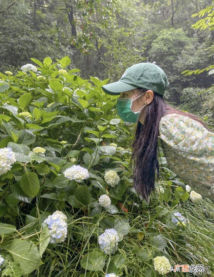 迪丽热巴微博绿洲，迪丽热巴晒田园绿洲九宫格照片