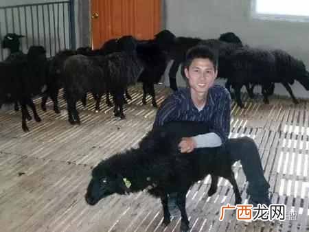 现在农村养什么成本低利润高（农村养殖高利润