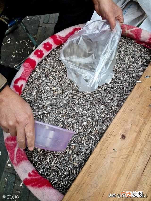 在蒙城县城做什么生意赚钱快（5个适合在乡镇做