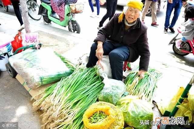 在蒙城县城做什么生意赚钱快（5个适合在乡镇做