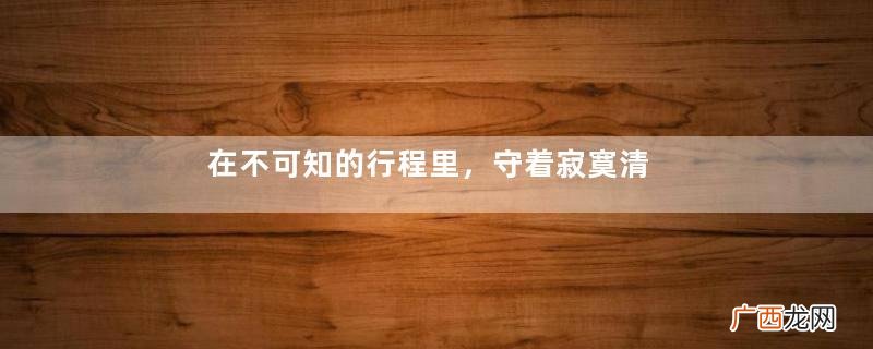 在不可知的行程里，守着寂寞清冷
