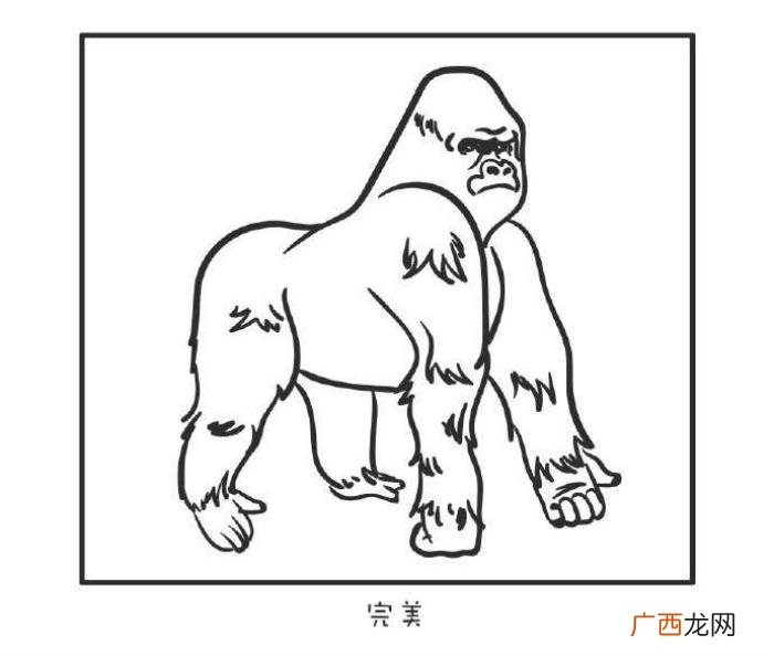 判断一个男人行不行只需看这 如何判断一个男人行不行